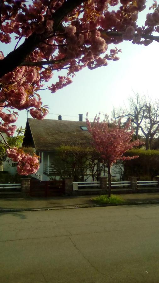 Chalet Montsegur Villa Colmar Eksteriør billede