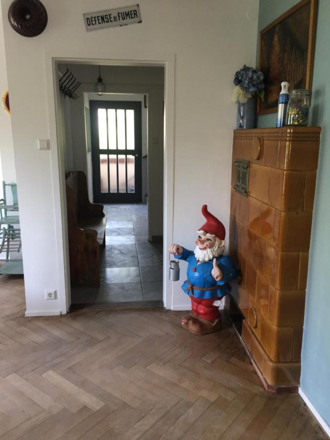 Chalet Montsegur Villa Colmar Eksteriør billede